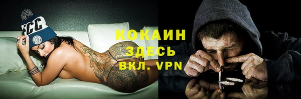 крисы Абаза