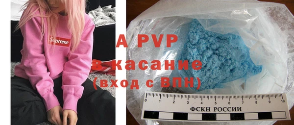 крисы Абаза